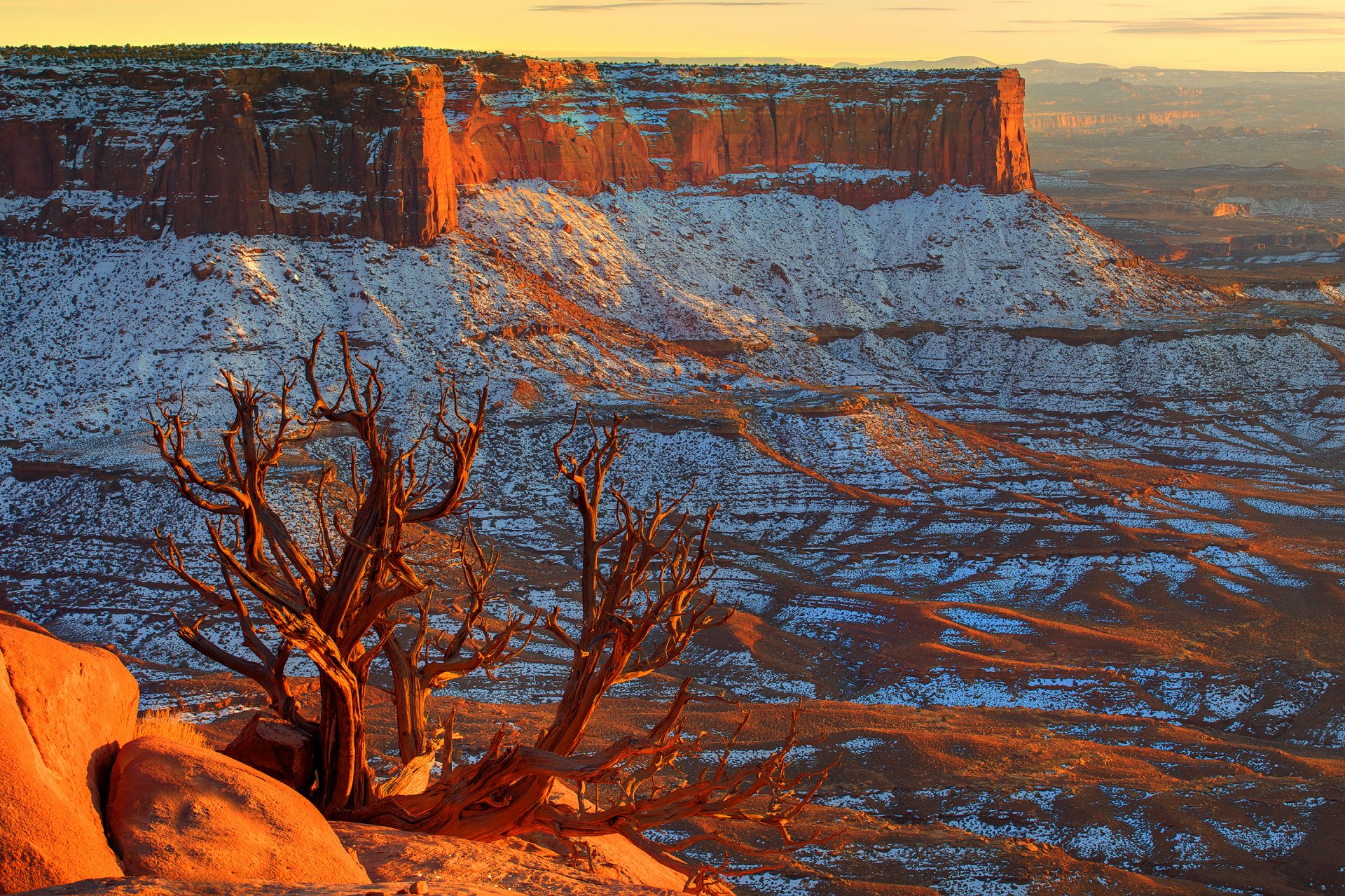 canyonlands utah usa himmel horizont sonnenuntergang canyon schnee steine baum