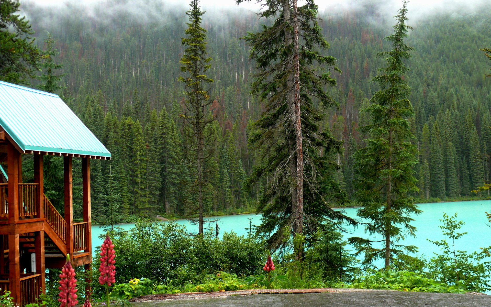 canada parc national de yoho lac forêt arbres rivage maison