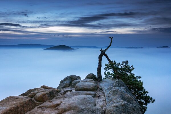 Am Abhang des Berges in wolkenloser Wolkenlosigkeit