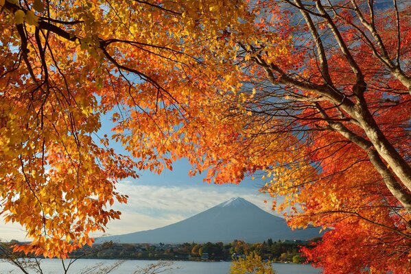 Japan s Mount Fujiyama in autumn