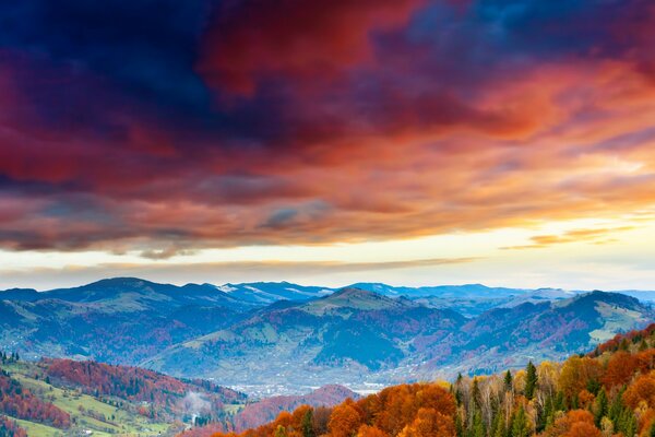 Forêt d automne dans les montagnes sous un ciel lumineux