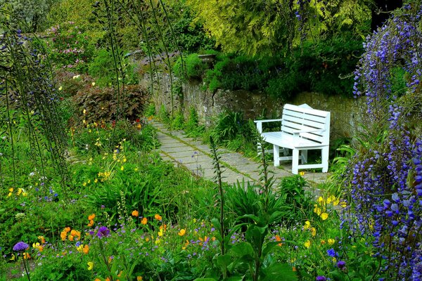 Banc dans le jardin parmi les fleurs