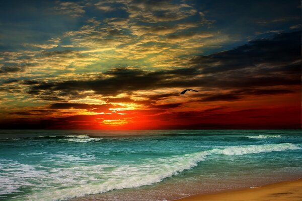 Tropische Strandlandschaft bei Sonnenuntergang