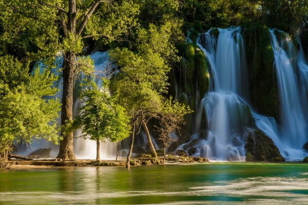 Cascata tra alberi, rocce