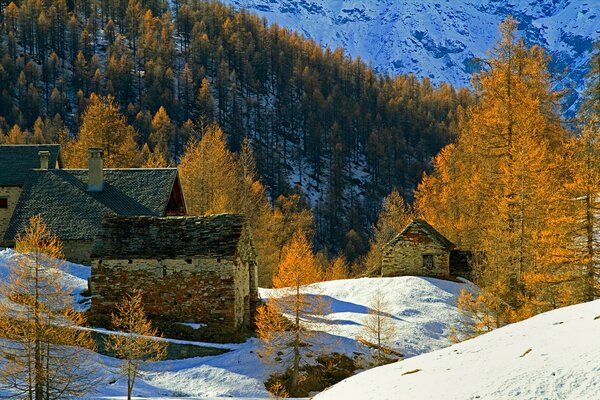 Casa en medio de la nieve de otoño y el bosque