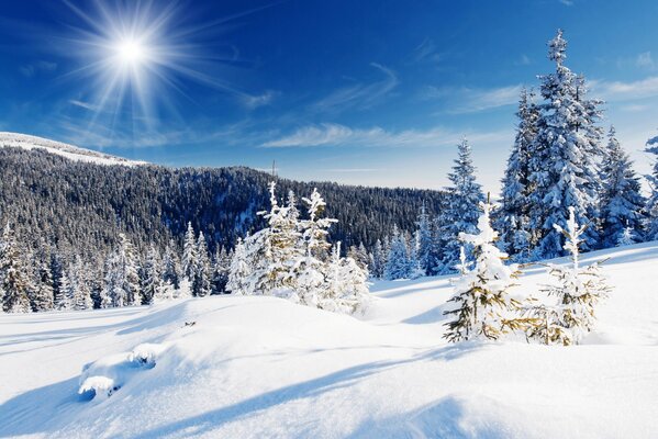 Paisaje de invierno, sol brillante, luz blanca como la nieve