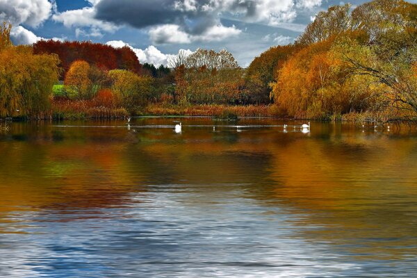 Autumn sky over a clear lake