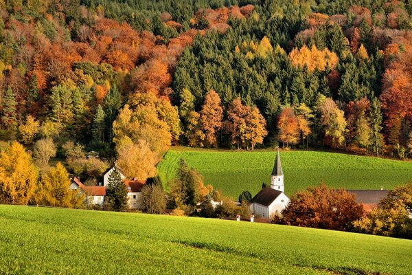 Drei Farben des Herbstwaldes