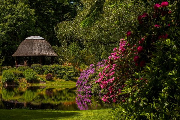 Gazebo nella natura vicino allo stagno