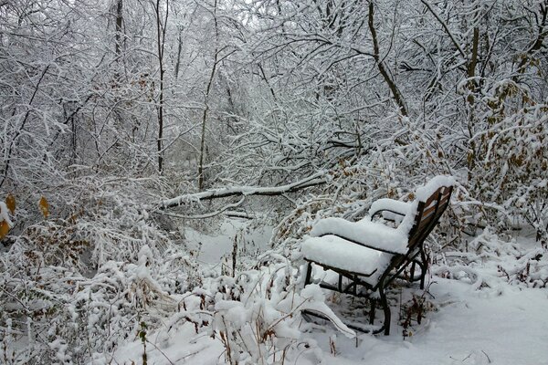 Winterlandschaft . Bäume und eine Bank im Schnee