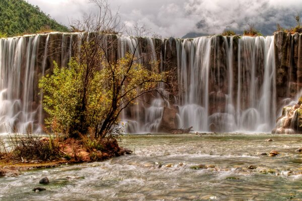 Title schöner Baum in der Nähe eines schicken Wasserfalls