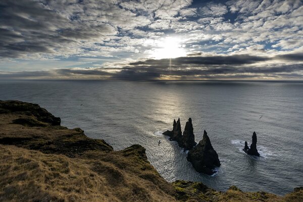 Morning on the background of a landscape of rocky shores and the water surface of the sea