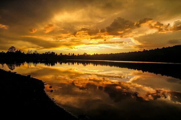 Paisaje de verano, amanecer, el cielo se refleja en el agua