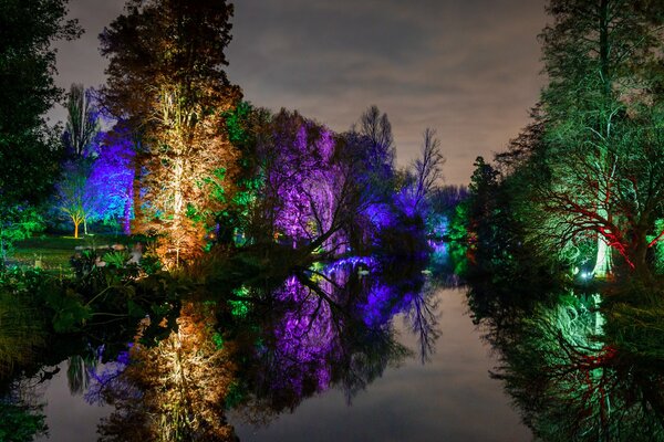 Noche en el parque. Los árboles brillan. Hermoso estanque en el parque