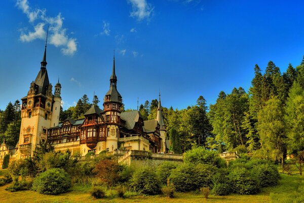 Ein Schloss im Wald. Bäume neben dem Turm. Blauer Himmel