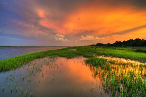 Lake in the grass on the background of sunset