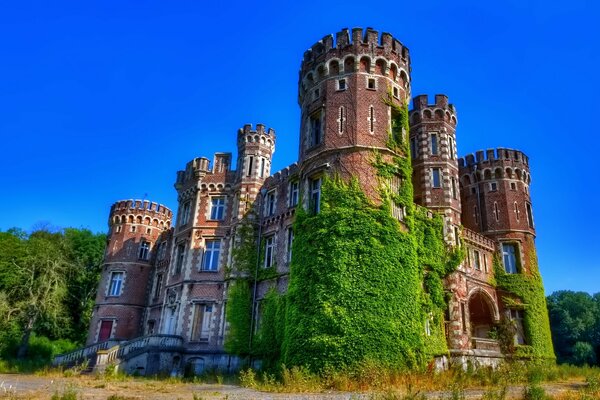 Castle with towers, covered with moss, against a blue sky