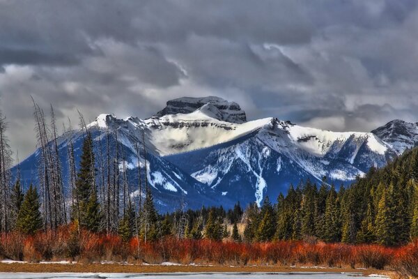 Paisaje de montañas nevadas en el fondo del bosque de otoño