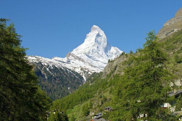 Pendiente Nevada y árboles en Suiza