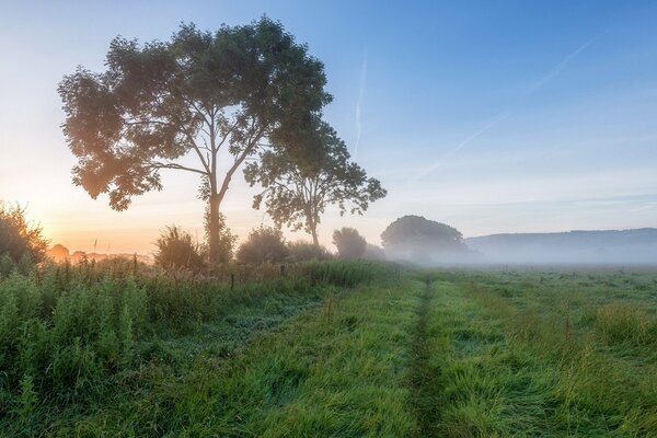 Paisaje de campo matutino con niebla