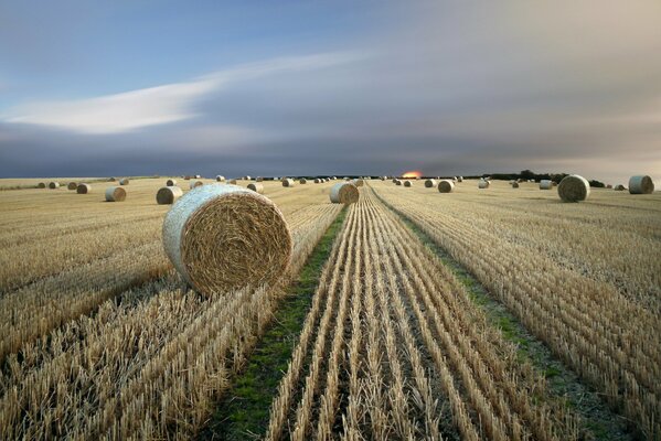 Heu in einem großen Feld