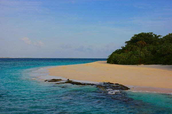 The coast of the Maldives. Blue Ocean