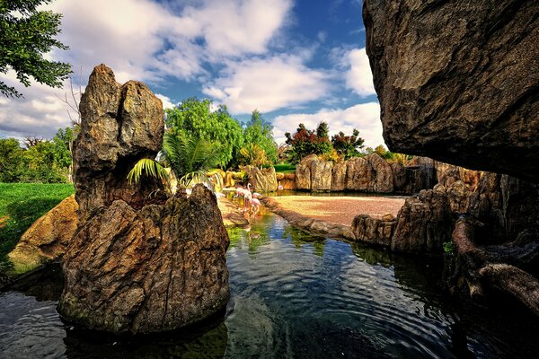 Parc espagnol, avec des oiseaux comme les flamants roses et et avec un étang