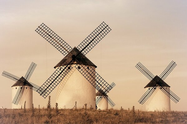 Spanish field with four mills