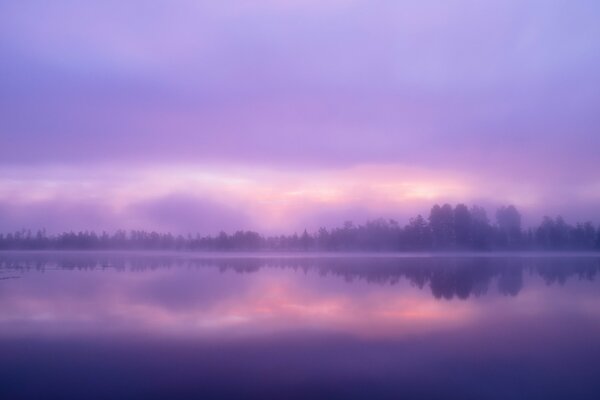 Reflet du ciel lilas dans l étang