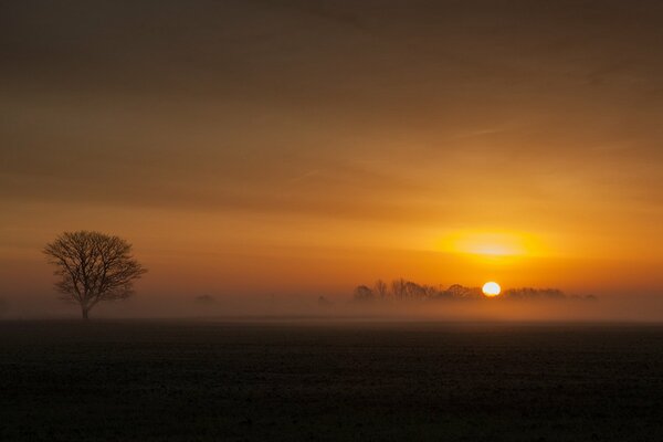 Sunset view in fog on the background of nature