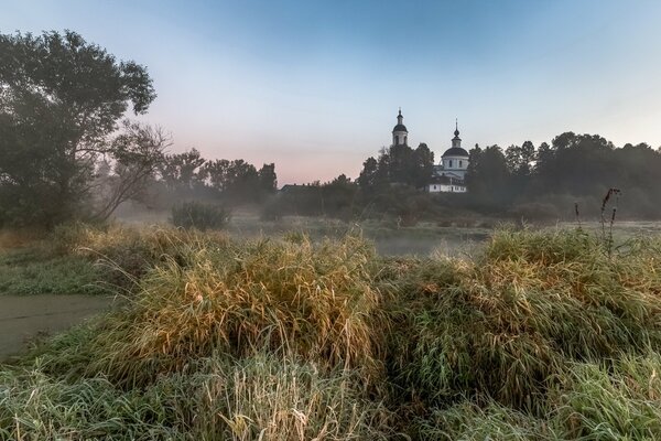 Paysage du temple dans le champ