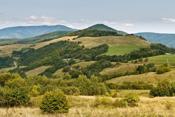 Hermosa montaña con bosques y campos