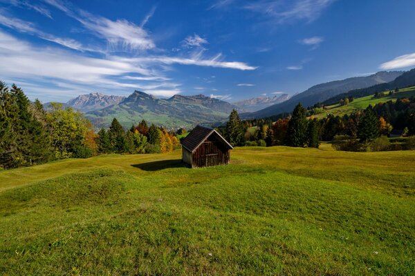 Häuschen in den Alpen auf einer Wiese