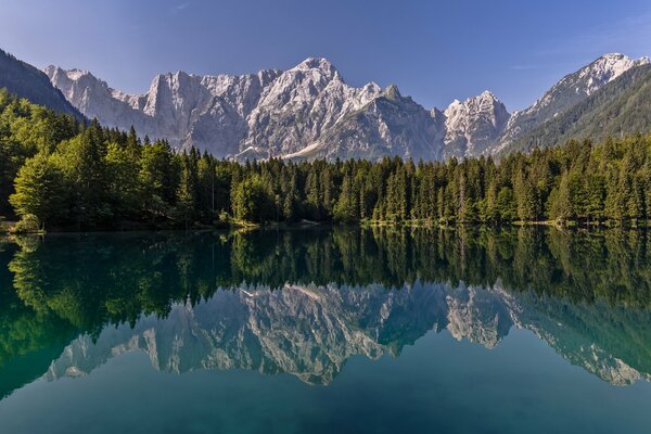 El reflejo de las montañas y el bosque en el lago como un espejo