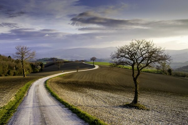 Eine lange Straße im Feld