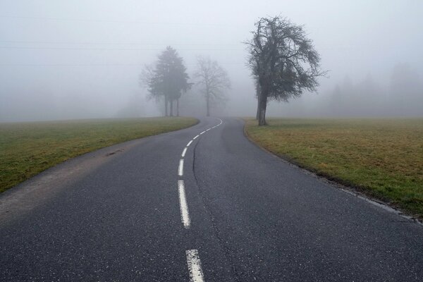 Niebla de la mañana cuando te despiertas en el coche de camino a casa