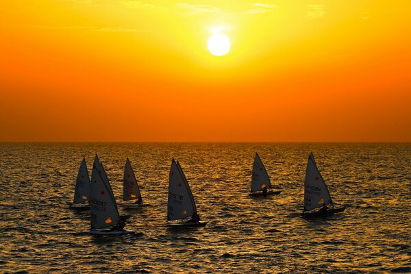 Sonnenuntergang am Meer. sechs boote