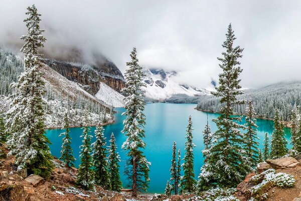 Lac parmi les montagnes et les forêts