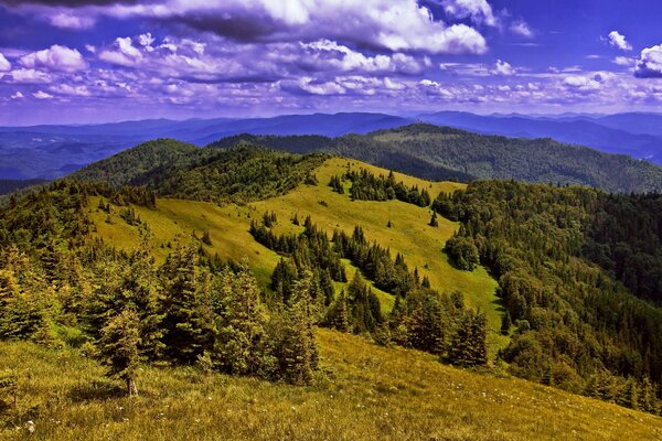 Montagne dei Carpazi in Ucraina in estate