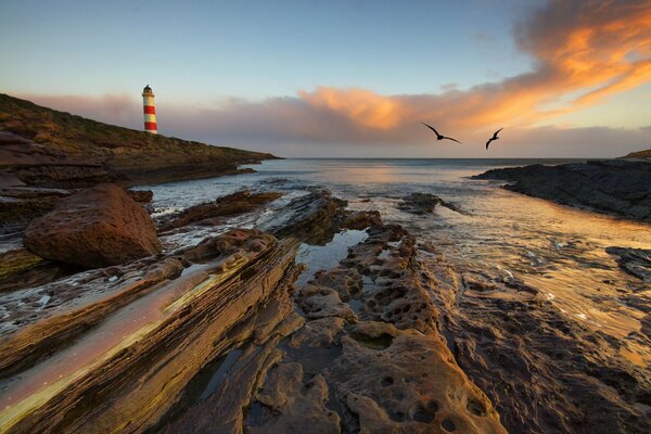 Lighthouse and seagulls in the sky over the sea