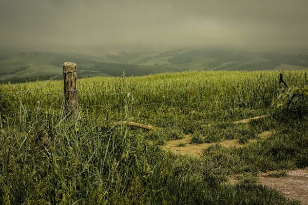 Foggy after with barbed wire