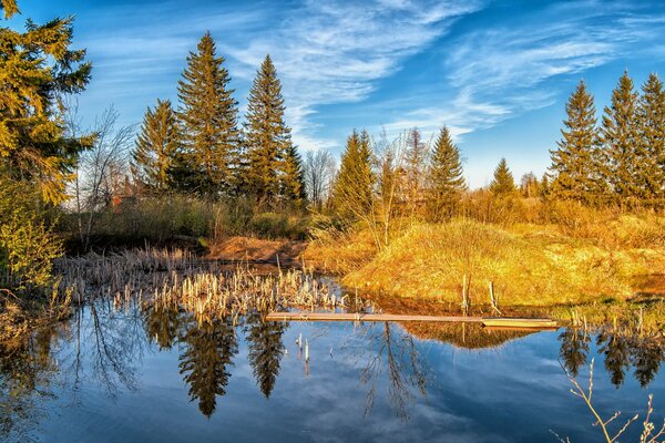 Herbstwald mit See und klarem Himmel