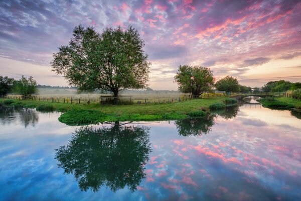 Alba sul fiume con il ponte in estate