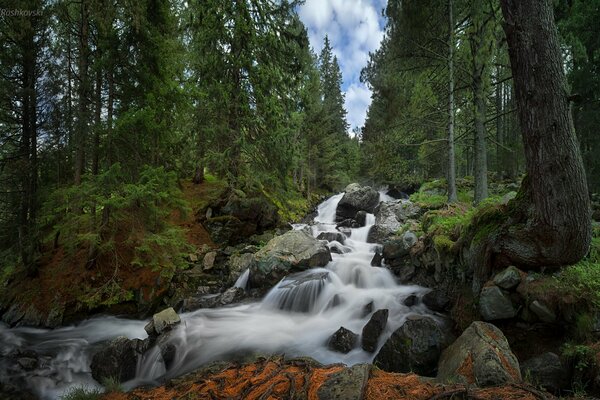 Nationalpark Bulgariens