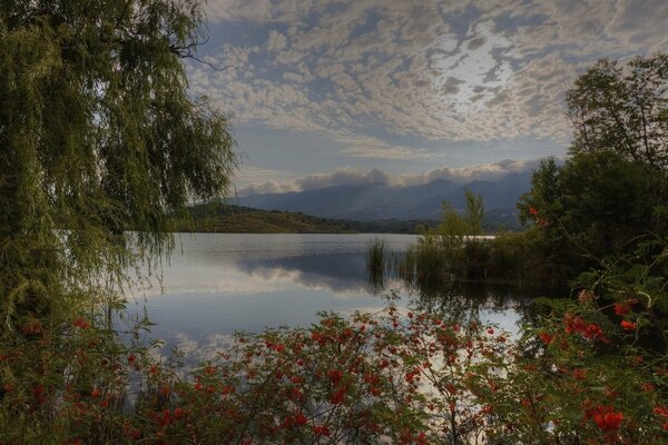 Pintura al óleo . lago, nubes azules verano