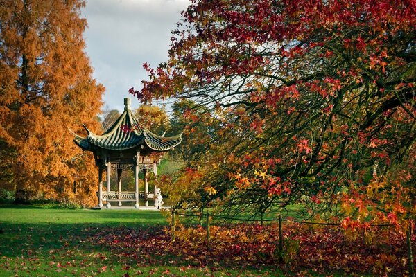 Arbres d automne dans le jardin avec Pergola