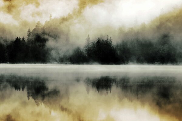 Reflet de la forêt brumeuse dans le lac