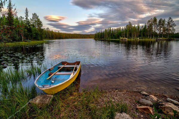 Barco en el lago de Noruega entre los árboles