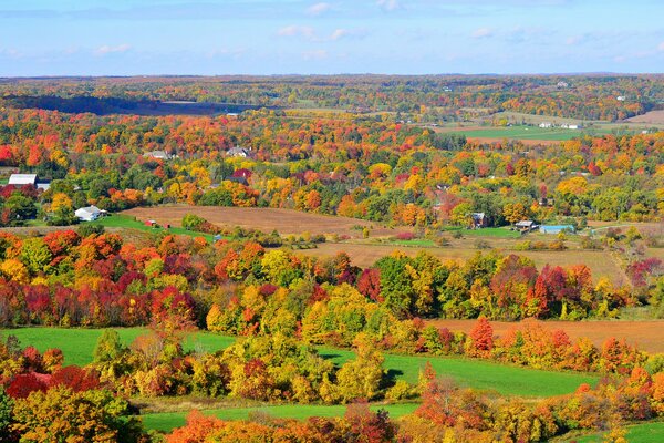 Autumn hills of trees mountains