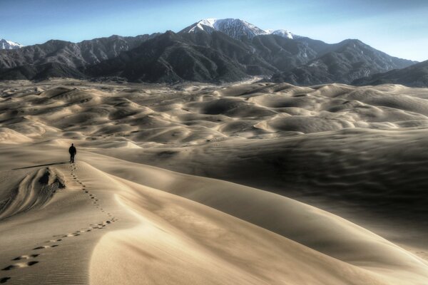 Grandi dune di sabbia nel Parco Nazionale